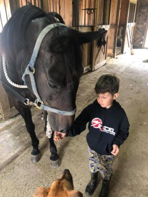 66054522 2379824852064373 892127572815511552 n